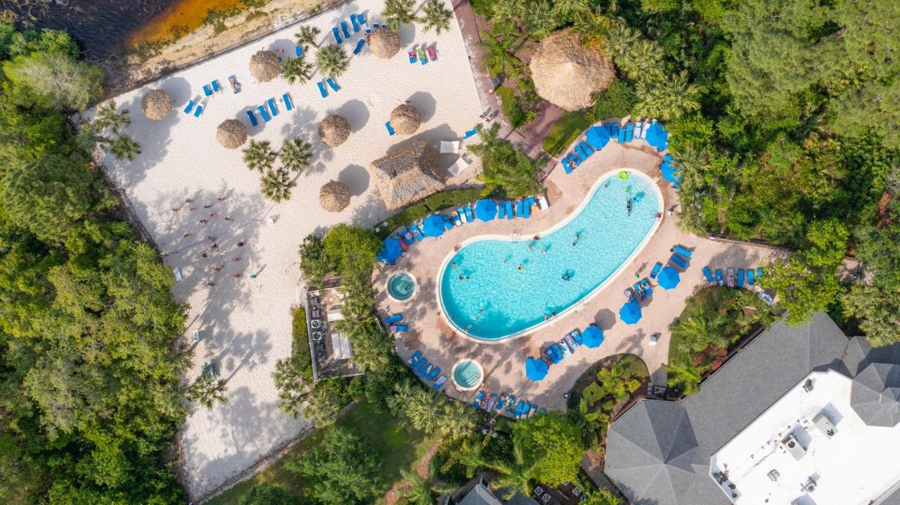 Cristina'S Tropical Villa/ Just Minutes From Disney! Кіссіммі Екстер'єр фото